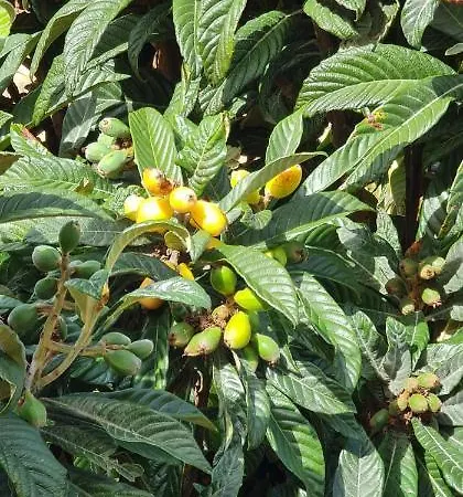 Manta Treasure - Beach+wifi+barbecue+backyard * Vila Nova De Cacela