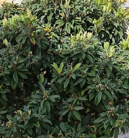 Manta Treasure - Beach+wifi+barbecue+backyard 別荘